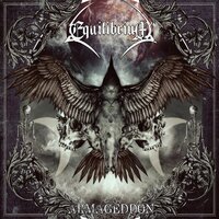 Rise Again - Equilibrium